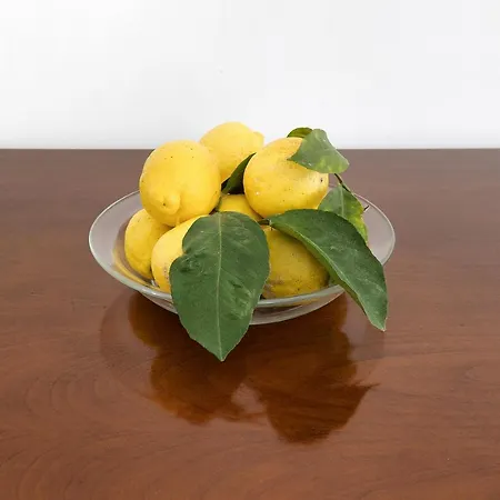 Apartamento Marina - Libeccio 30m Mare Ceriale